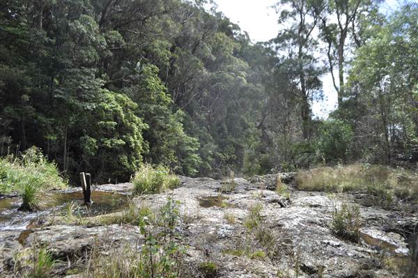 Purling Brook Falls - Springbrook National Park (6/02/2014)
