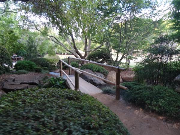 Japanese Garden - University of Southern Queensland (7/05/2014)