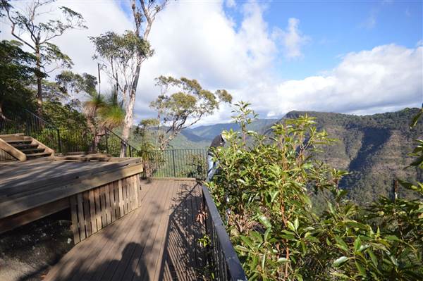 O'Reillys Rainforest Retreat (19/05/2014)