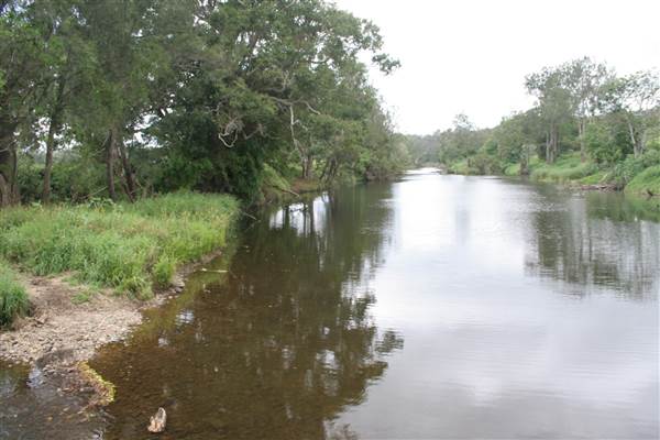 Coomera River (Upper) (21/05/2014 - Credits: Duncan Jones)