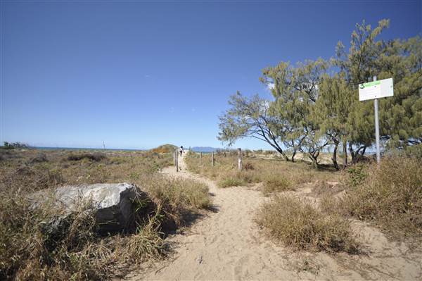 Kings Beach (Bowen) (23/07/2014 - Credits: Angus Ledgerwood)