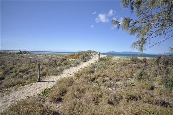 Kings Beach (Bowen) (23/07/2014 - Credits: Angus Ledgerwood)