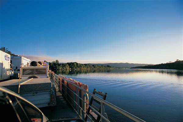 Daintree River (25/08/2014)