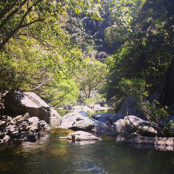 Spring Creek - near Port Douglas (3/10/2014)
