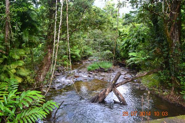 Tully Gorge National Park (18/08/2014)