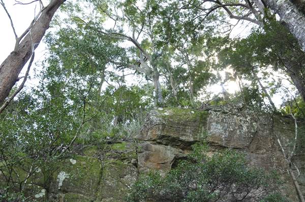 Natural Bridge - Springbrook National Park (30/04/2015 - Credits: Angus Ledgerwood)