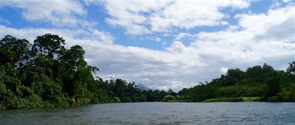 Mulgrave River (Cairns Region) (25/06/2015)