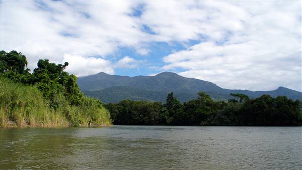 Mulgrave River (Cairns Region) (25/06/2015)
