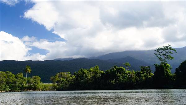 Mulgrave River (Cairns Region) (25/06/2015)