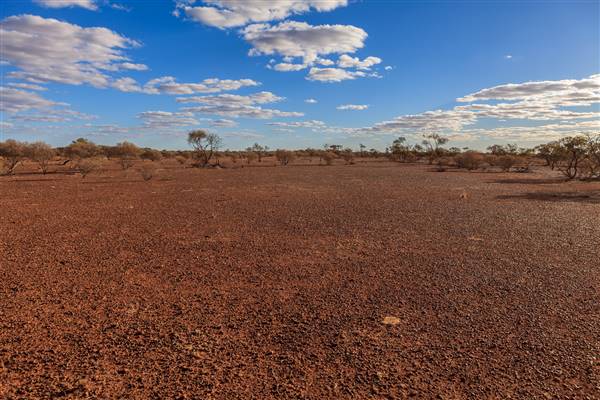 Age Of Dinosaurs (Rangelands) (22/07/2015)