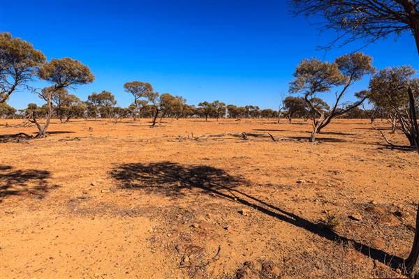 Rangelands Station (23/07/2015 - Credits: Neil McGregor)