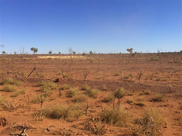 Winton-Jundah Road (24/07/2015 - Credits: Neil McGregor)