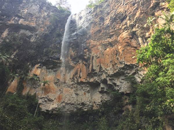 Purling Brook Falls - Springbrook National Park (10/12/2015 - Credits: Neil McGregor)