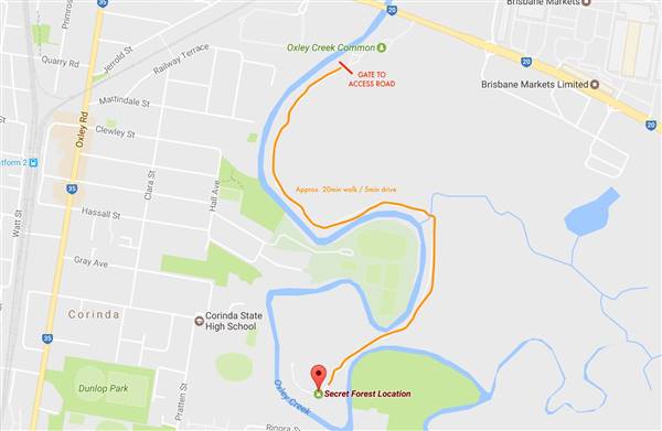 The Secret Forest - Oxley Creek Common