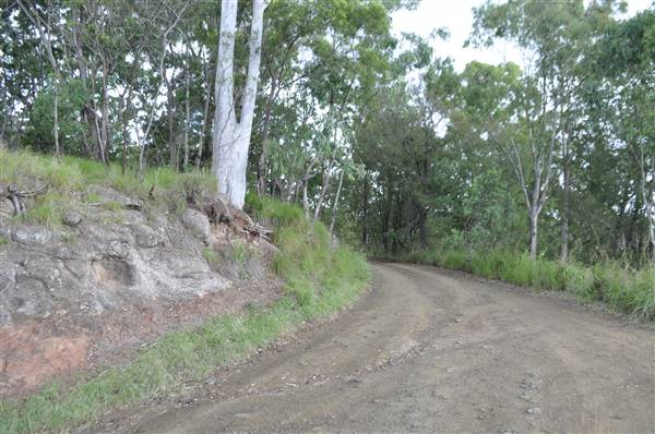 Dirt Road / Wilderness / Pastures (3/04/2017)