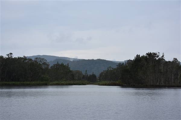 Fig Tree Point (Noosa Everglades) (13/07/2017 - Credits: Kathryn Metcalfe)