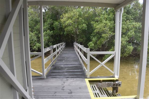 Noosa Everglades - Kinaba Information Building (13/07/2017 - Credits: Kathryn Metcalfe)