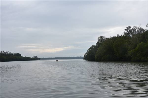 Johns Landing (Noosa Everglades) (13/07/2017 - Credits: Kathryn Metcalfe)