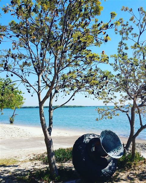 Karragarra Island (9/07/2018 - Credits: unknown)