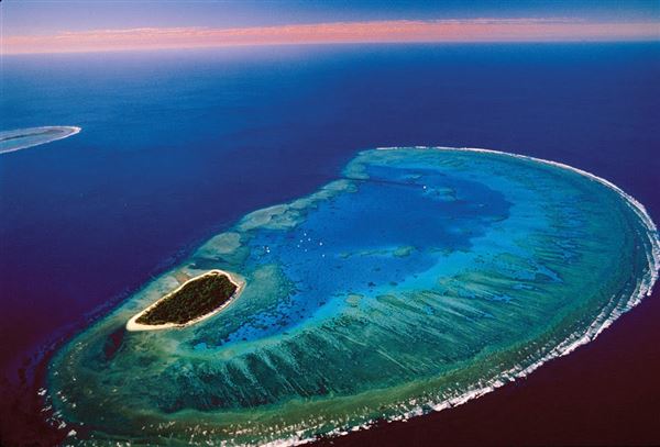 Great Barrier Reef - Lady Musgrave Island - Wallaginji (5/10/2018 - Credits: unknown)
