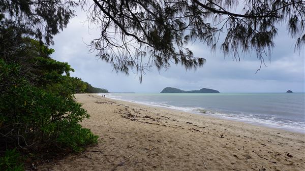 Pullman Palm Cove Sea Temple Resort & Spa (19/12/2019 - Credits: Karen Jones)