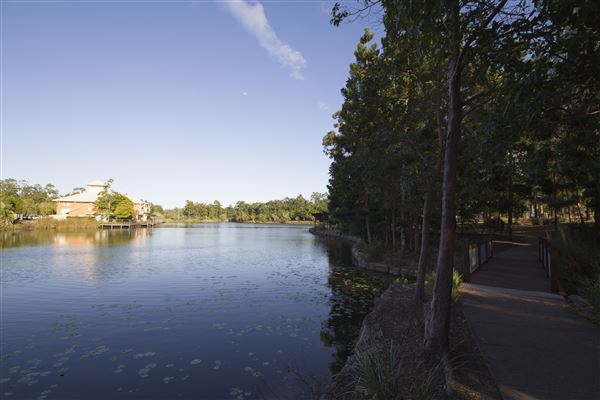 Spring Lake Park (11/05/2020 - Credits: Ipswich City Council)