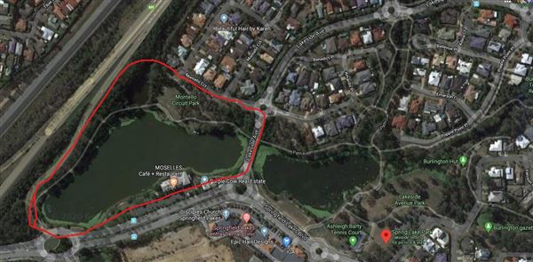 Spring Lake Park (11/05/2020 - Credits: Ipswich City Council)