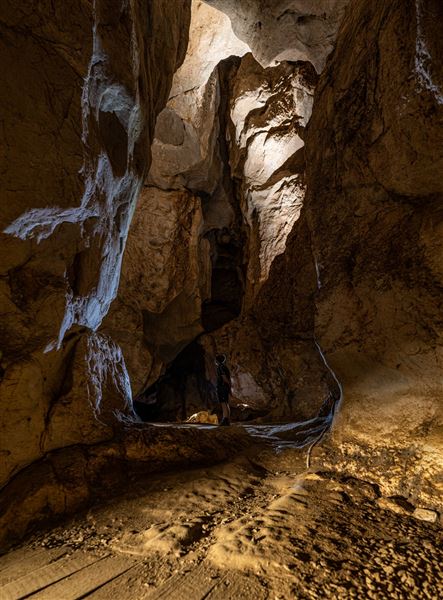 Capricorn Caves (1/07/2020 - Credits: Capricorn Caves)