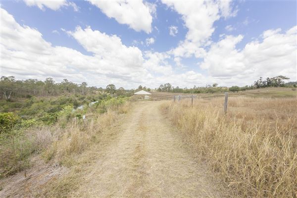 The Llama Farm (29/09/2020 - Credits: Ipswich City Council)