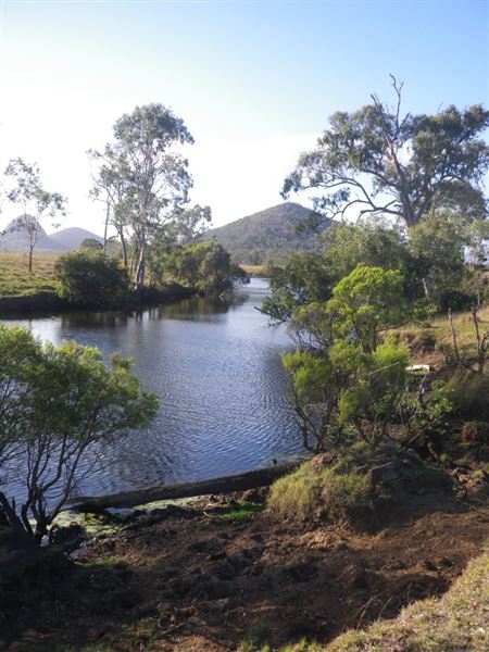Meandering Creek & Lush Wetlands - Hedlow Creek (27/05/2013 - Credits: Landangler's Blog)