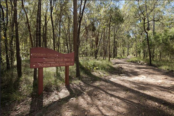 Karawatha Forest Park - Overview - Image Sourced - Do Not Make Public (10/12/2020)