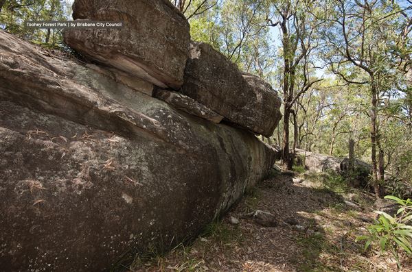 Toohey Forest Park (incl. Mount Gravatt Outlook Reserve) - Overview - Image Sourced - Do Not Make Public (10/12/2020)