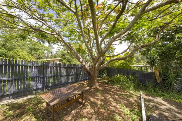 Tranquil Tea House (9/12/2021 - Credits: Ipswich City Council)