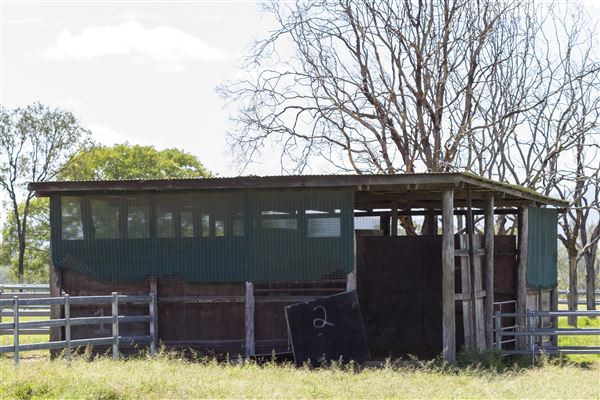 Summer Land Camel Farm (20/10/2021 - Credits: Ipswich City Council)