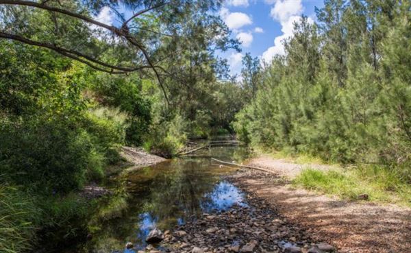 Bunya River Crossing (Albany Creek) (20/07/2022 - Credits: www.visitmoretonbayregion.com.au)