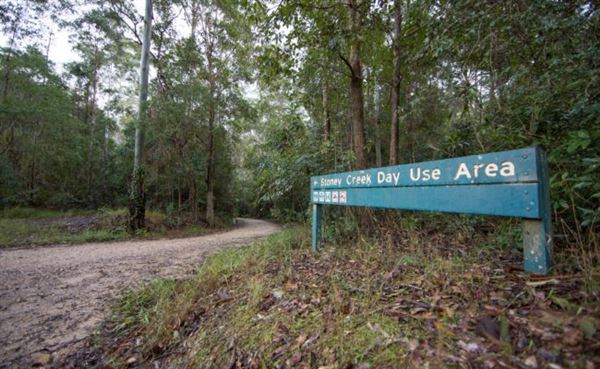 Stony Creek (25/07/2022 - Credits: www.visitmoretonbayregion.com.au)