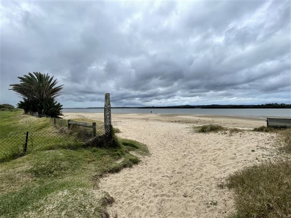 Cabbage Tree Point (6/10/2022 - Credits: Dugald McMasters)