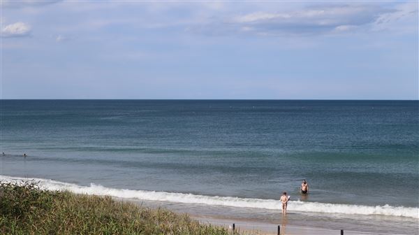 Woorim Beach - Bribie Island (16/11/2022 - Credits: Brendan O'Sullivan)
