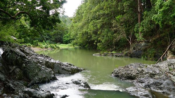 Currumbin Rock Pools (8/07/2019)