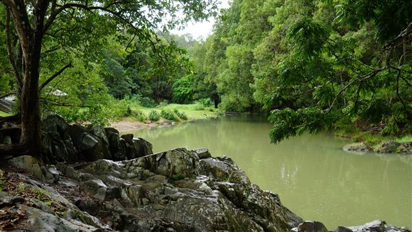 Currumbin Rock Pools (8/07/2019)