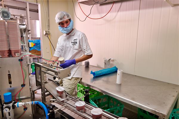 Mungalli Creek Bio-Dynamic Dairy (4/02/2023 - Credits: John de Rooy, Atherton Tableland Photography)