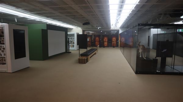 Queensland Museum - Interior (5/12/2022 - Credits: Brendan O'Sullivan)