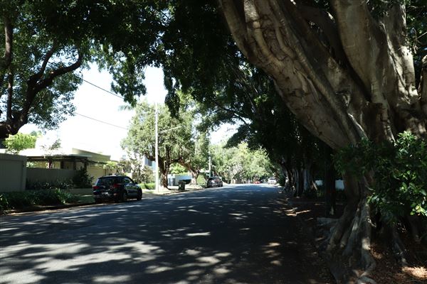 Chelmer Streetscape (10/05/2023 - Credits: Screen Queensland)