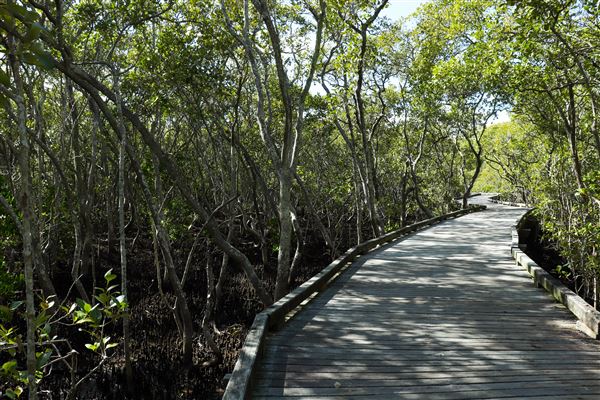 Nudgee Beach Wetlands Reserve (11/05/2023 - Credits: Screen Queensland)