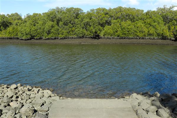Nudgee Beach Wetlands Reserve (11/05/2023 - Credits: Screen Queensland)