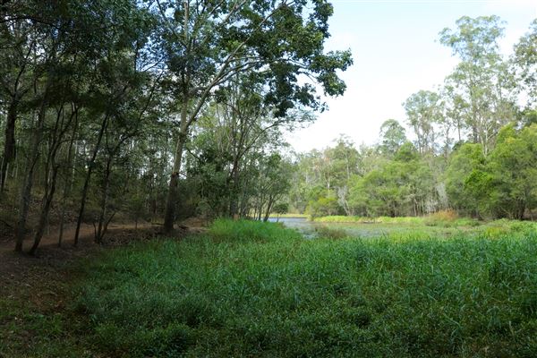 Enoggera Reservoir (12/05/2023 - Credits: Screen Queensland)
