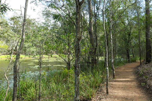 Enoggera Reservoir (12/05/2023 - Credits: Screen Queensland)