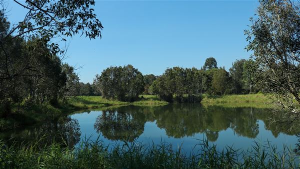 118 Green Camp Rd (31/05/2023 - Credits: Screen Queensland)