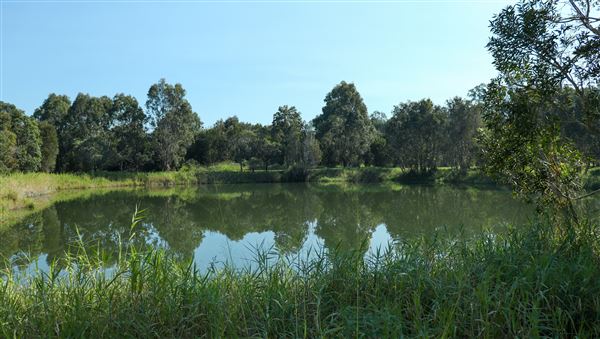 118 Green Camp Rd (31/05/2023 - Credits: Screen Queensland)