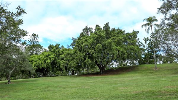 Anzac Park (7/06/2023 - Credits: Screen Queensland)
